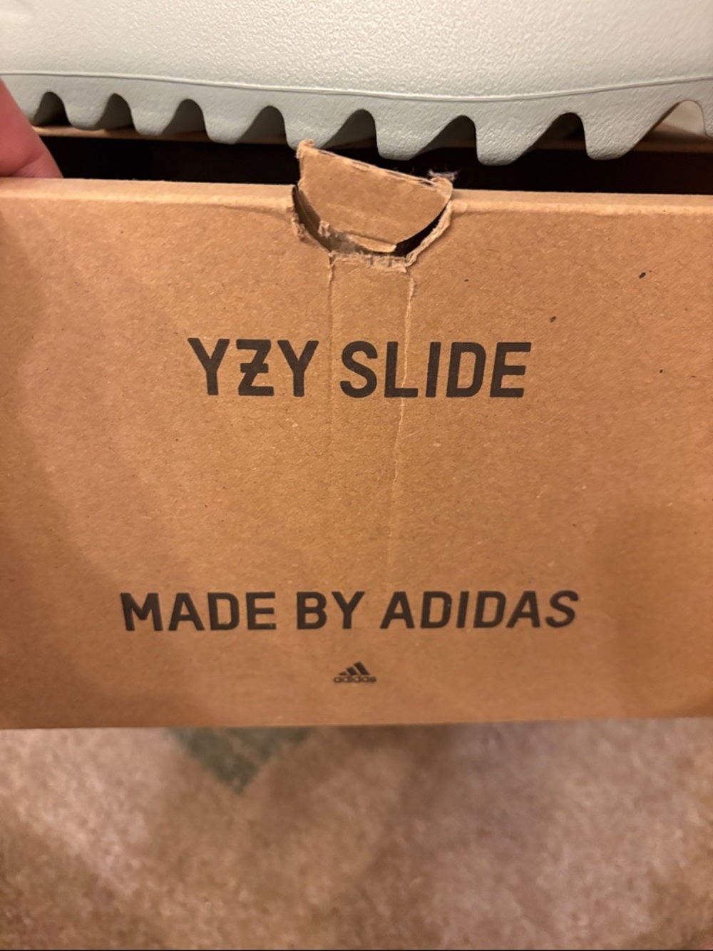 NIB Yeezy Slides (Salt) - Picture 2 of 5